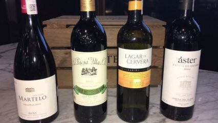 bebidas tipicas de Logrono