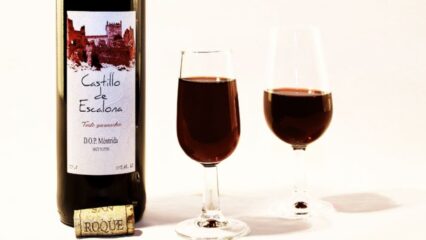 bebidas tipicas de avila