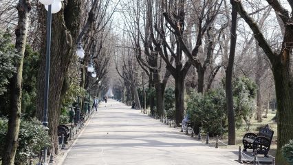 Las Bebidas Típicas de Bucarest - ¿Qué beber en Bucarest?
