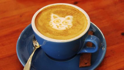 Las Bebidas Típicas de Chengdu - ¿Qué beber en Chengdu?