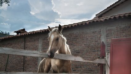 Las Bebidas Típicas de MedellíN - ¿Qué beber en MedellíN?