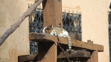 Las Bebidas Típicas de Rabat - ¿Qué beber en Rabat?