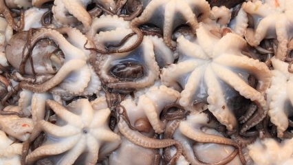 Las Comidas Típicas de NáPoles - ¿Qué comer en NáPoles?