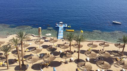 Estudiar Carrera de Gastronomía en Egipto