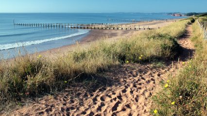 Estudiar Carrera de Gastronomía en Reino Unido