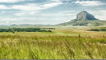 Estudiar Carrera de Gastronomía en Sudáfrica