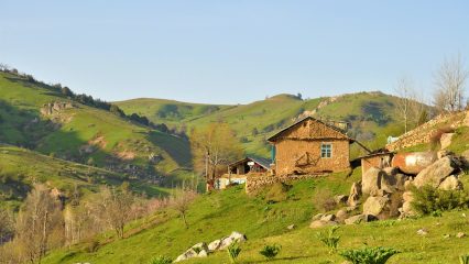 Estudiar Carrera de Gastronomía en Uzbekistán