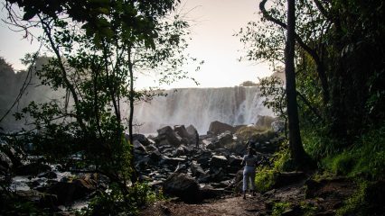 Estudiar Carrera de Gastronomía en Zambia